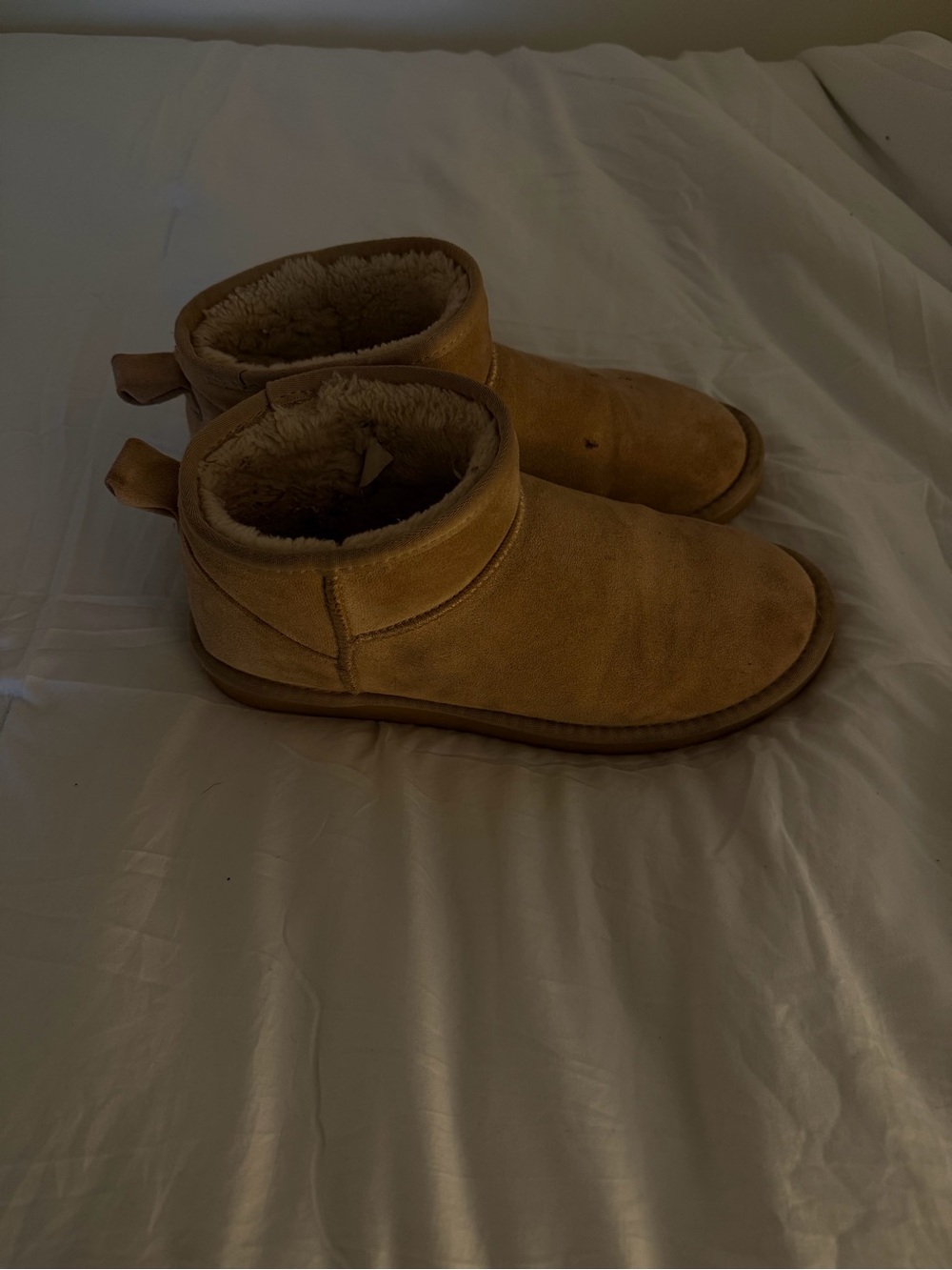 Women’s Windsor low ankle boots